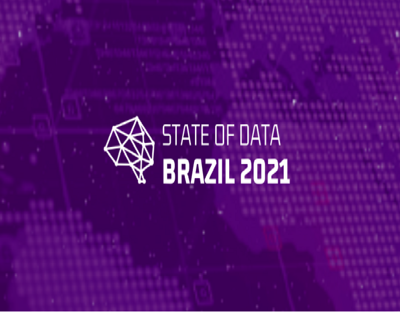 Visualização do projeto Análise da área de dados no Brasil
